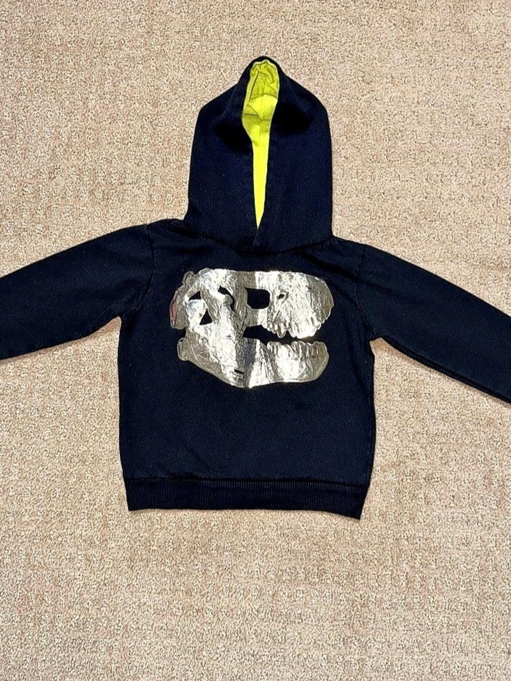 Kids Black Dinosaur Graphic Hoodie - 2T